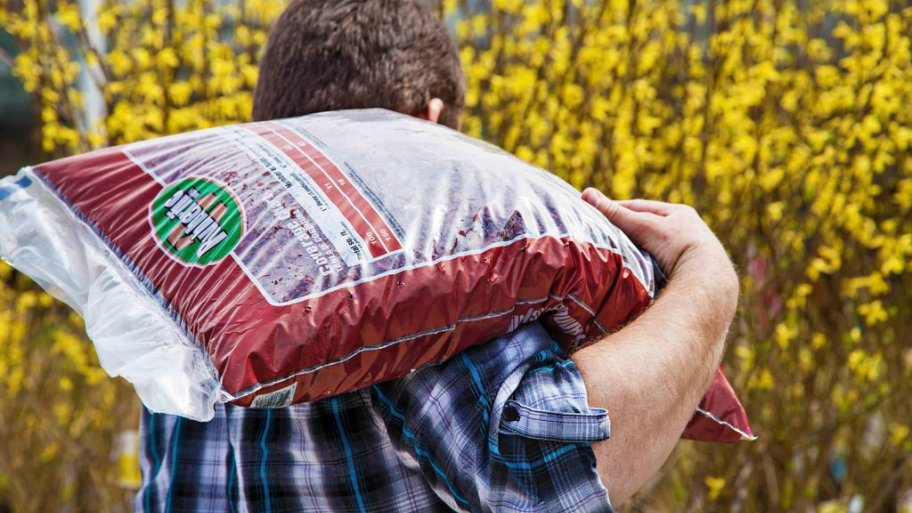 6 Tips for Mulching Your Yard Angi [Angie's List]