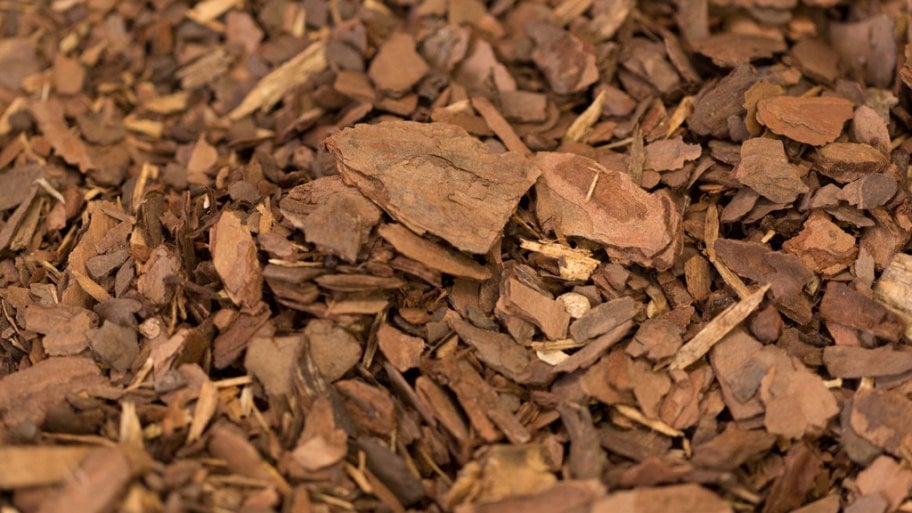pine bark organic mulch
