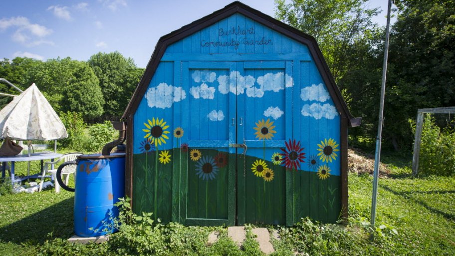 shed, garden, water barrel