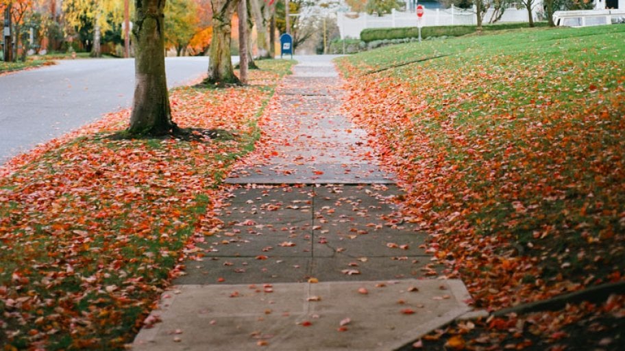 Concrete sidewalk outside a home in neighborhood with orange leaves on the grass