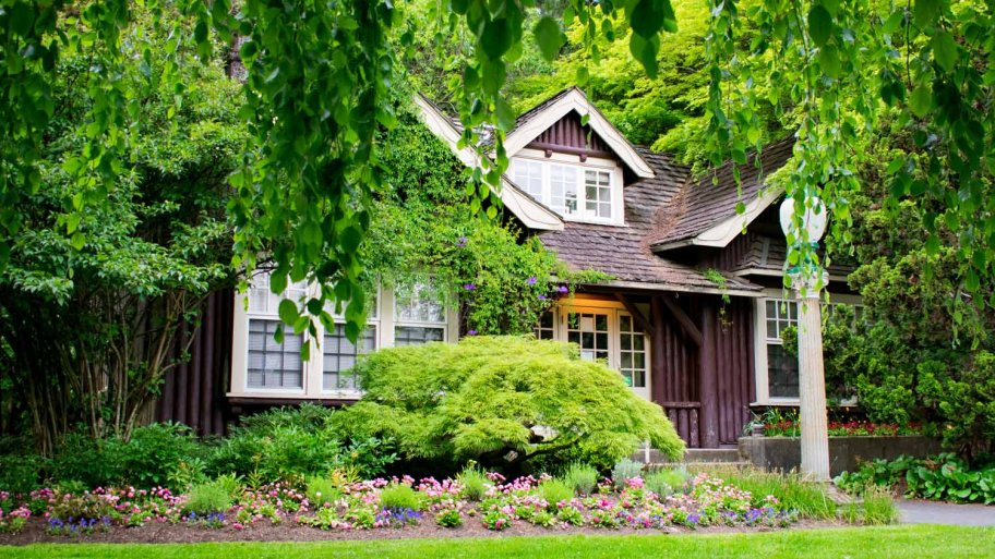 A beautiful cottage house surrounded by lush greenery