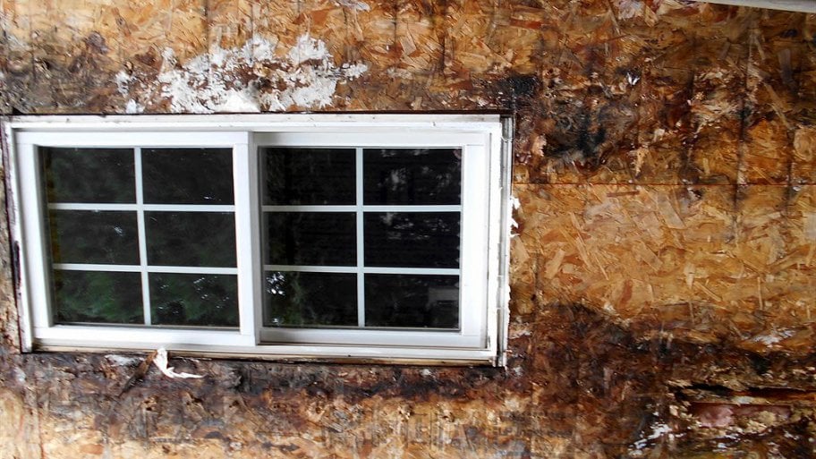 Dry rot near a window