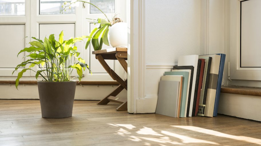 light wood engineered hardwood floor with books, potted plants, and stool