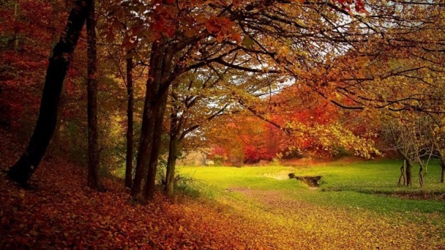 fall season home maintenance fall season home maintenance