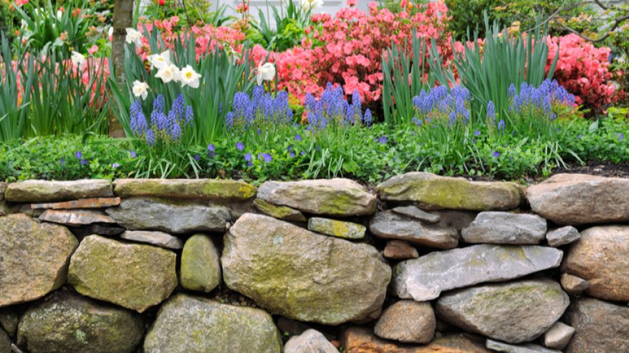 Garden of flowers with stone retaining wall Garden of flowers with stone retaining wall