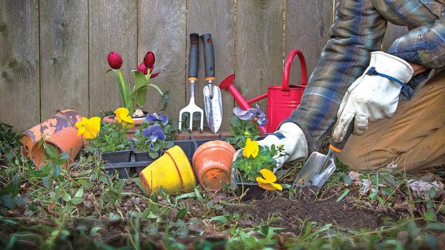 flower pots, pansies, garden tools