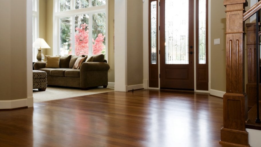 a home entryway with dark wood floor and partial view of living room with carpet and couch