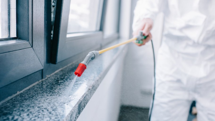 2021 Pest Control Services Cost Angi Angie S List