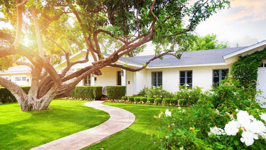 a one-story white house with sun shining through large tree, winding sidewalk, and green grass