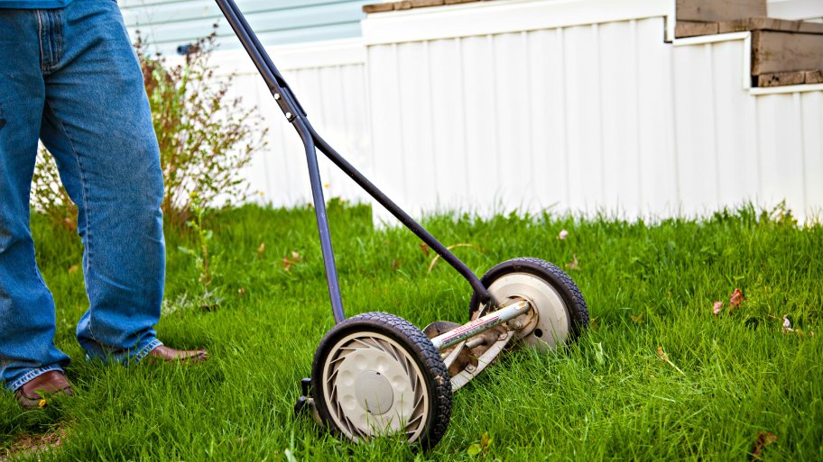 reel lawn mower mowing grass