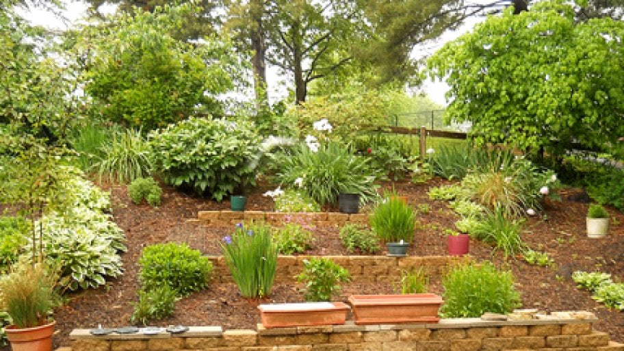 organic weed control organic weed control