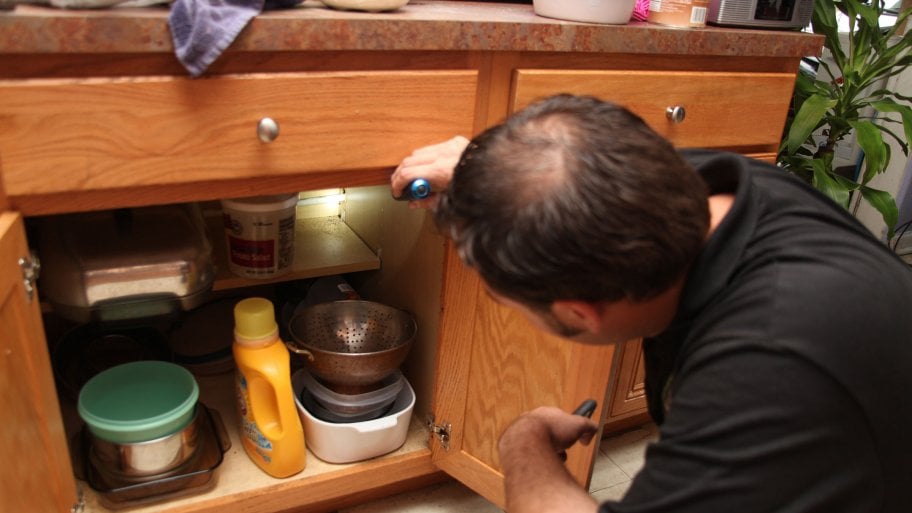 man inspecting kitchen for roaches
