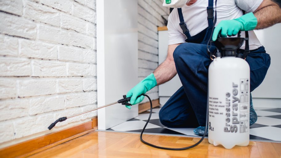 a person spraying for pests inside a house