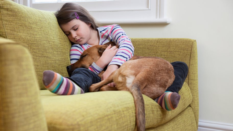 Sick dog and child