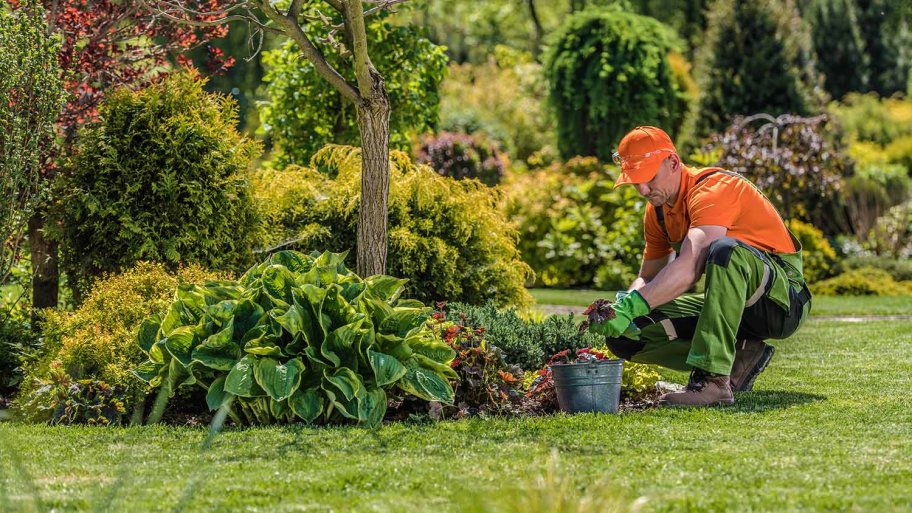 Professional Garden Worker