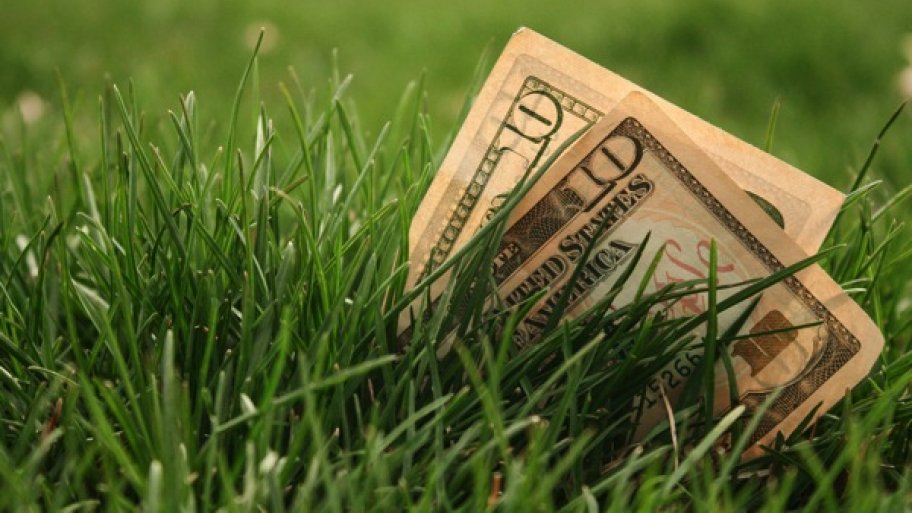 money sitting in grass