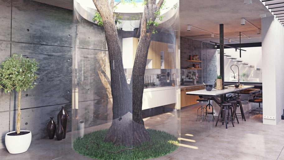 tree inside a house