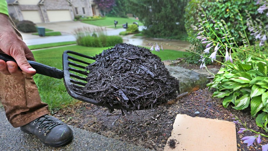 sheet mulching