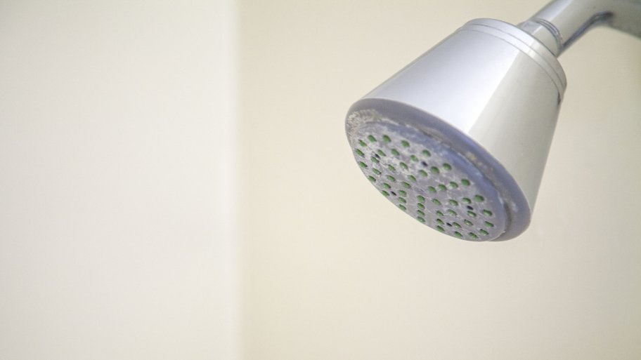 shower head