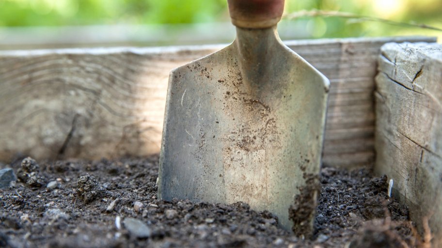 spade in vegetable garden soil