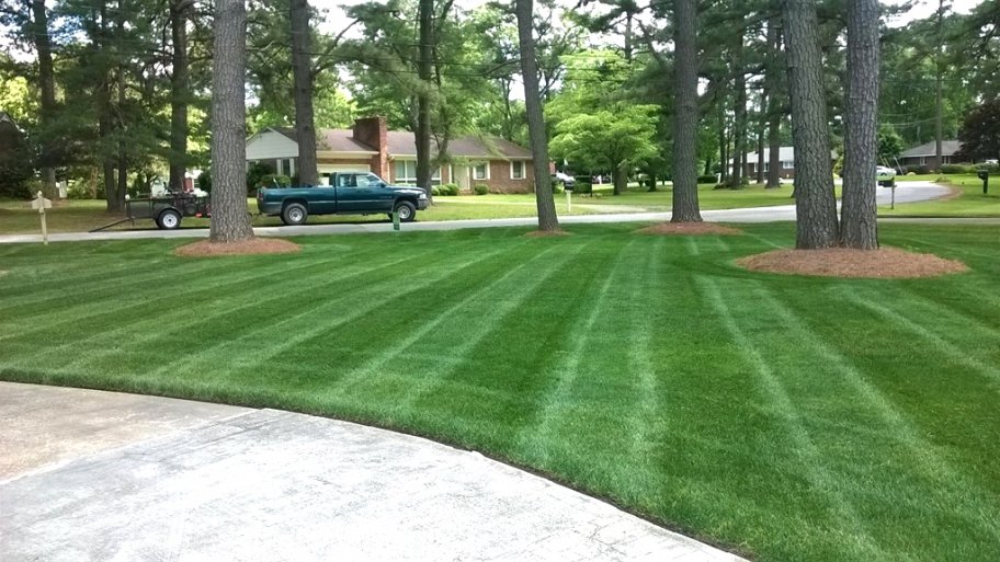 Spring lawn care tips