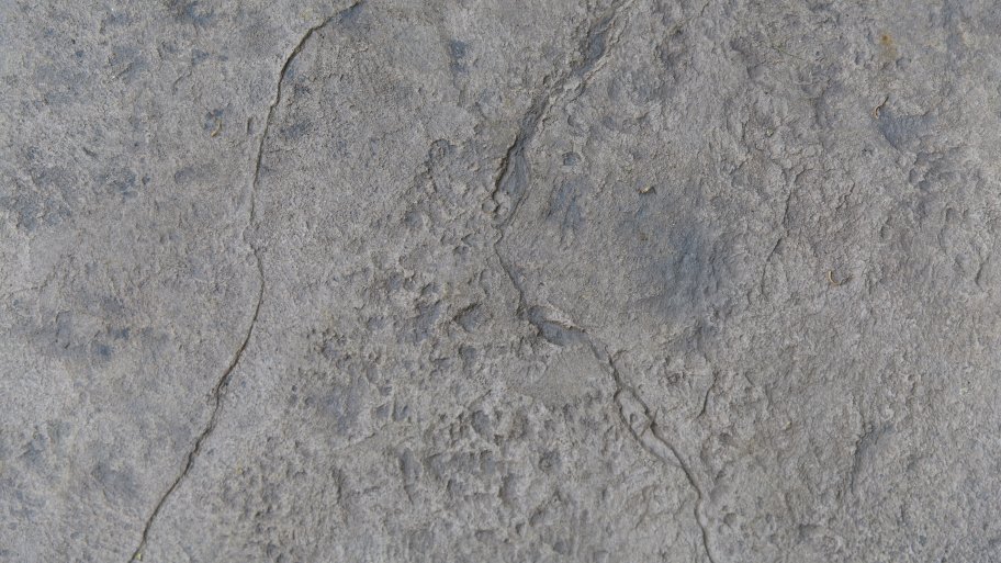 stamped concrete up close