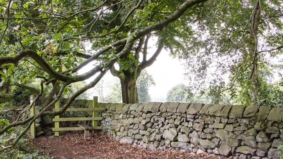 2021 Cost Of Stone Wall Installation Angi Angie S List - How Much Does A Dry Stack Stone Wall Cost 2021 Cost Of Stone Wall Installation Angi Angie S List - How Much Does A Dry Stack Stone Wall Cost