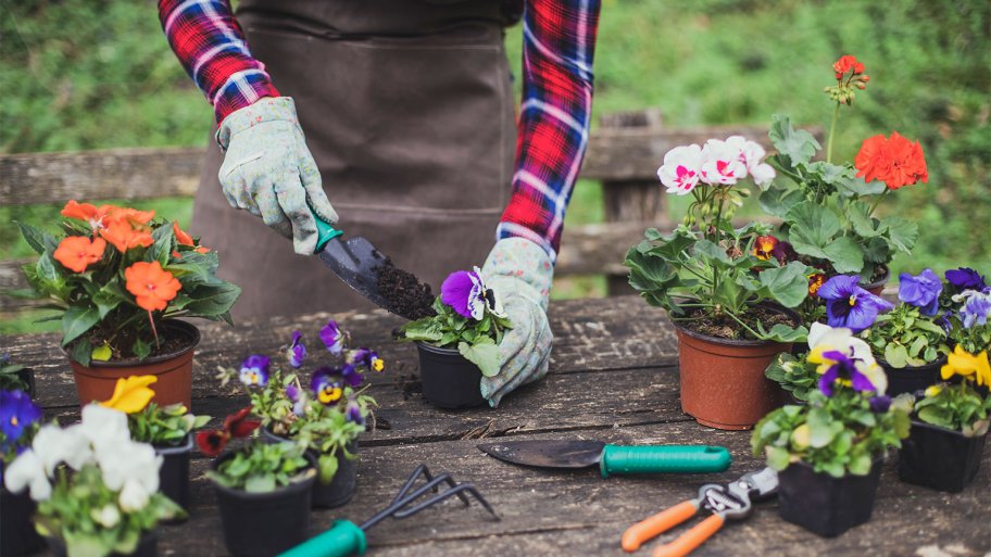 gardening summer flowers outdoor table