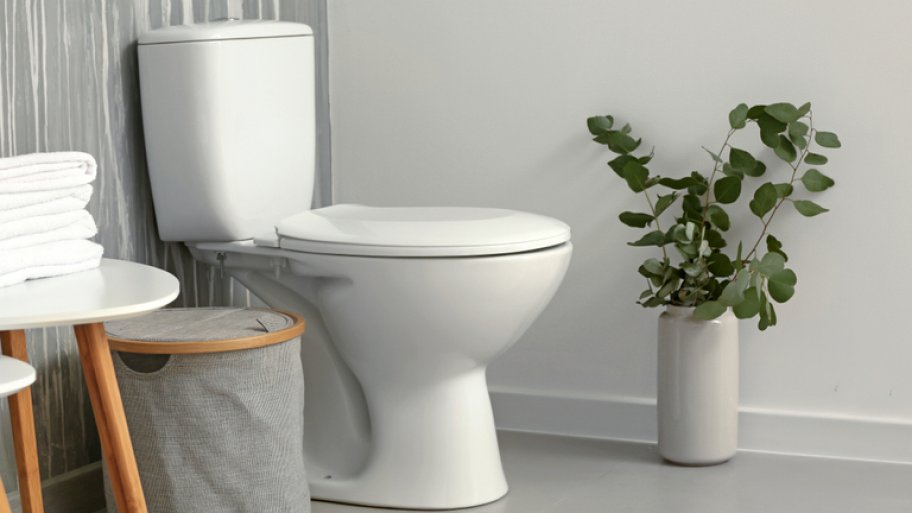 White toilet in bathroom next to plant White toilet in bathroom next to plant