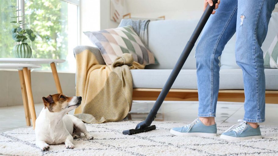 cleaning up pet hair with vacuuming