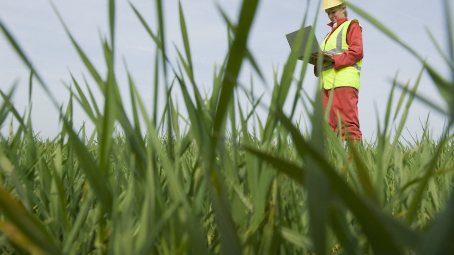 woman in yellow vest holding clipboard surveys grassy land