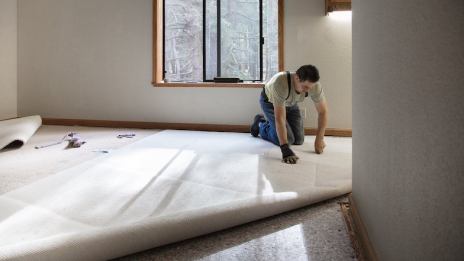 6 Steps To Avoid Carpet Mold After Water Damage Angi Angie S List Carpet Mold After Water Damage, Wet Carpet In Corner Of Basement