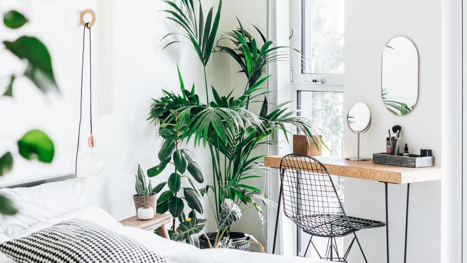 A stylish and bright bedroom with plants