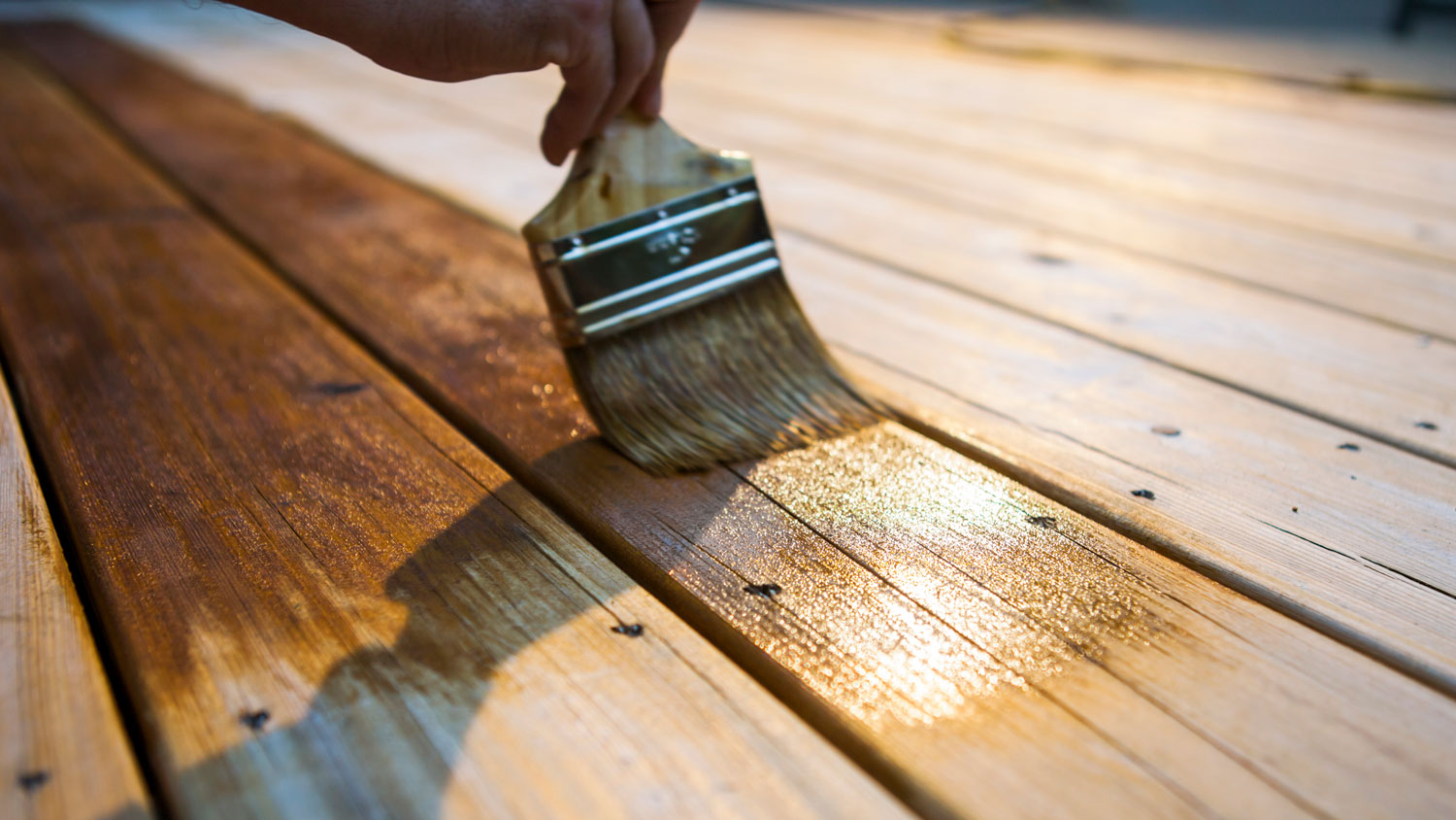 Male Carpenter Applying Varnish To Wooden Deck