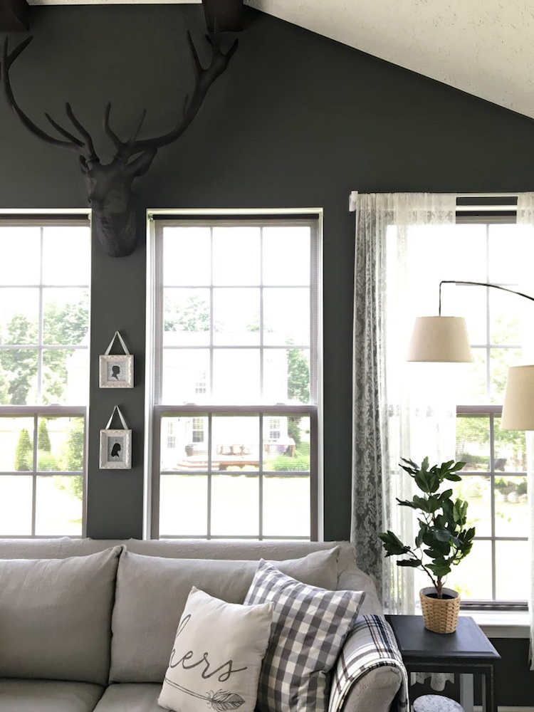 sunroom with dark walls