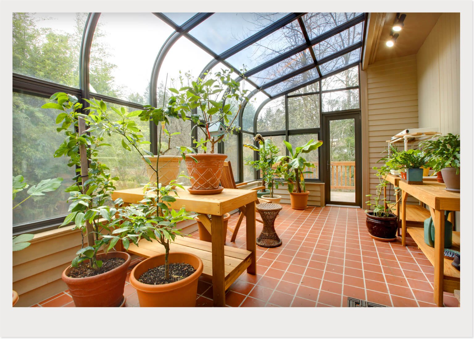 sunroom plant conservatory greenhouse