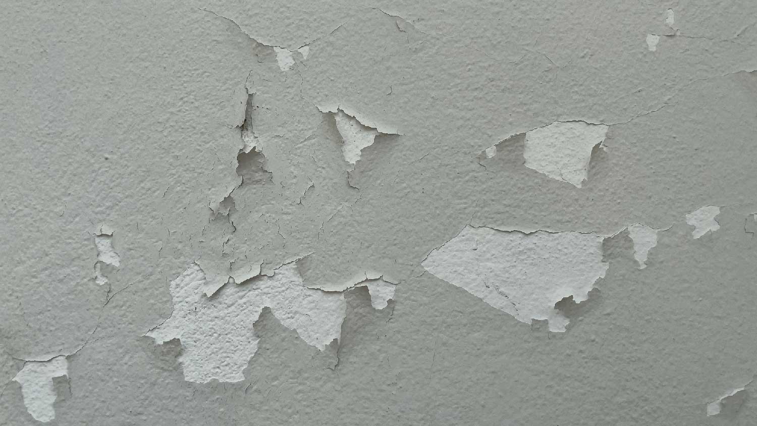 The surface of a peeling wall