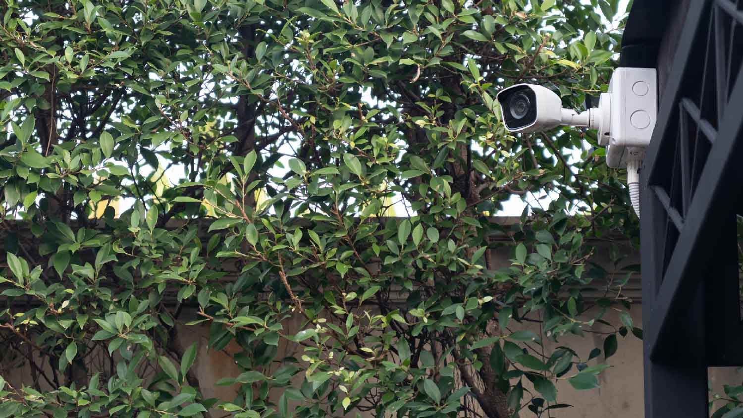 A surveillance camera overlooking a property