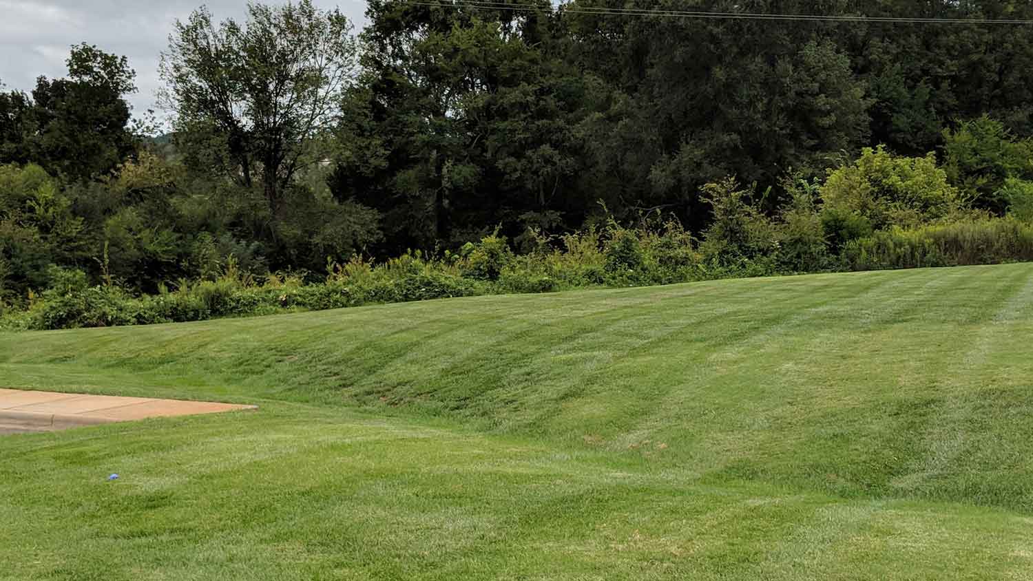 A swale next to a driveway