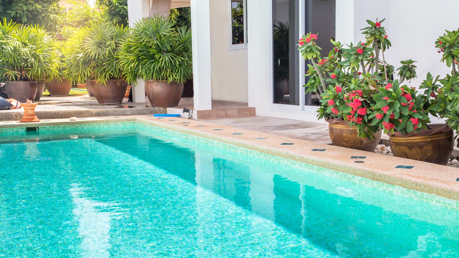 A swiming pool in the modern backyard of a house
