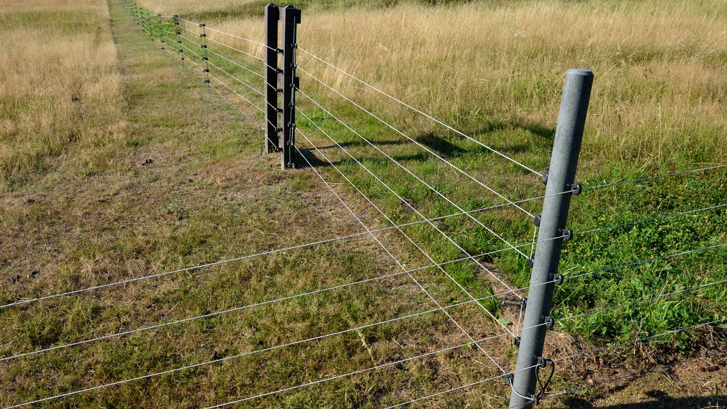 T post fence on farm