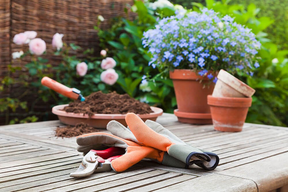 Gardening supplies on table