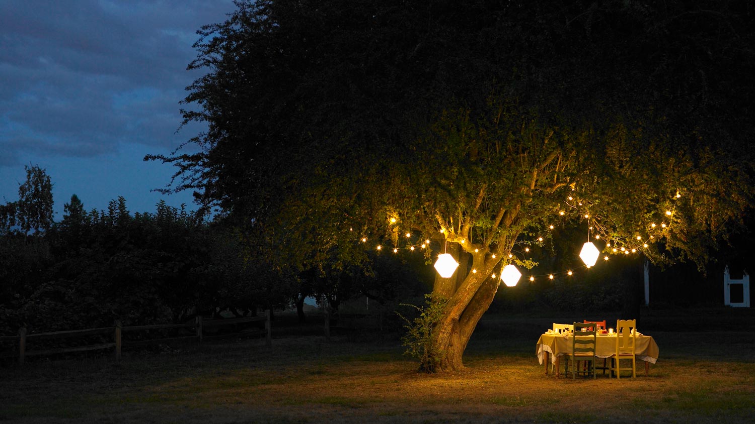 Table in yard illuminated by lanterns hanging on tree