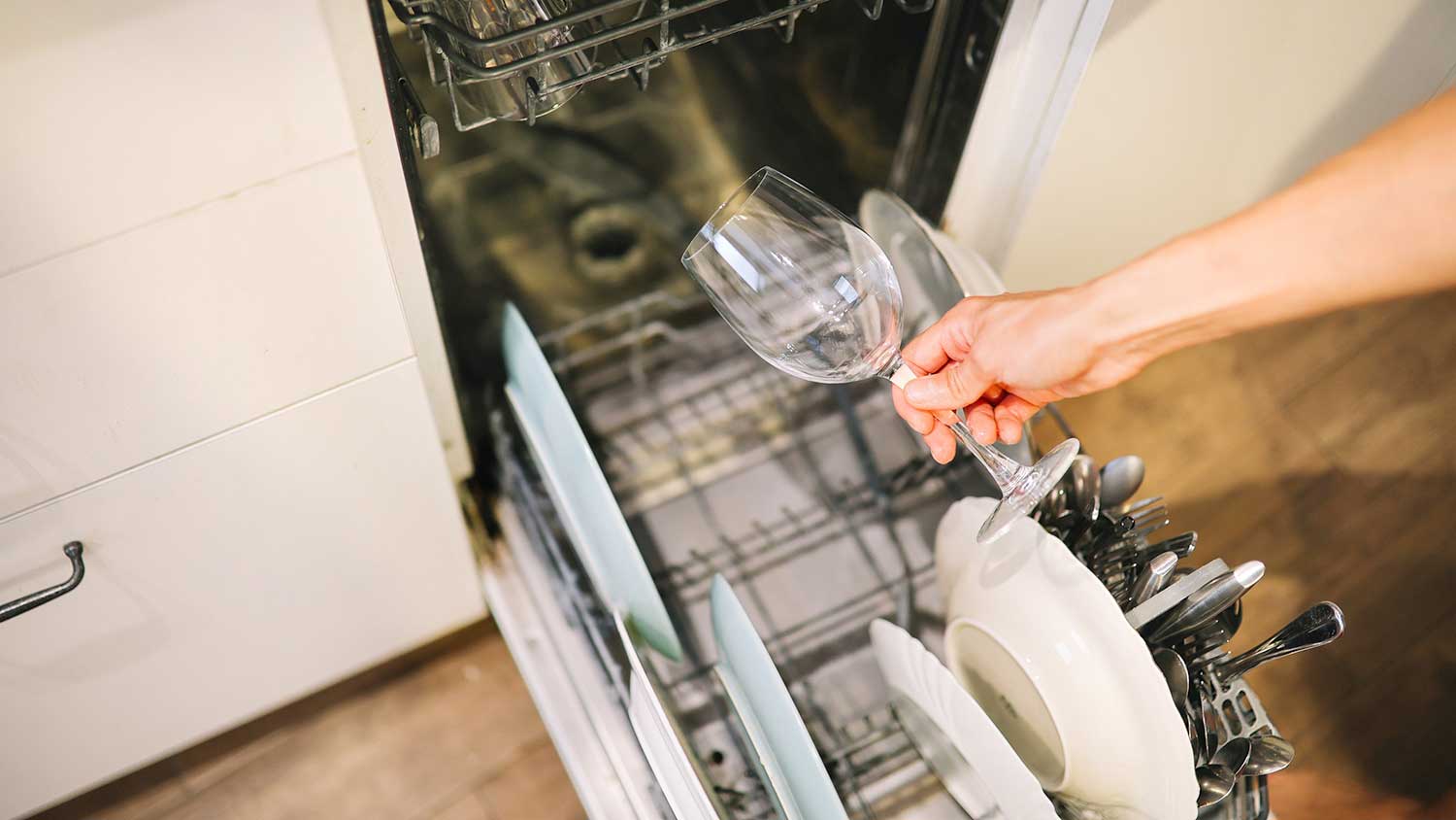 Person holding wine glass in front of a dishwasher