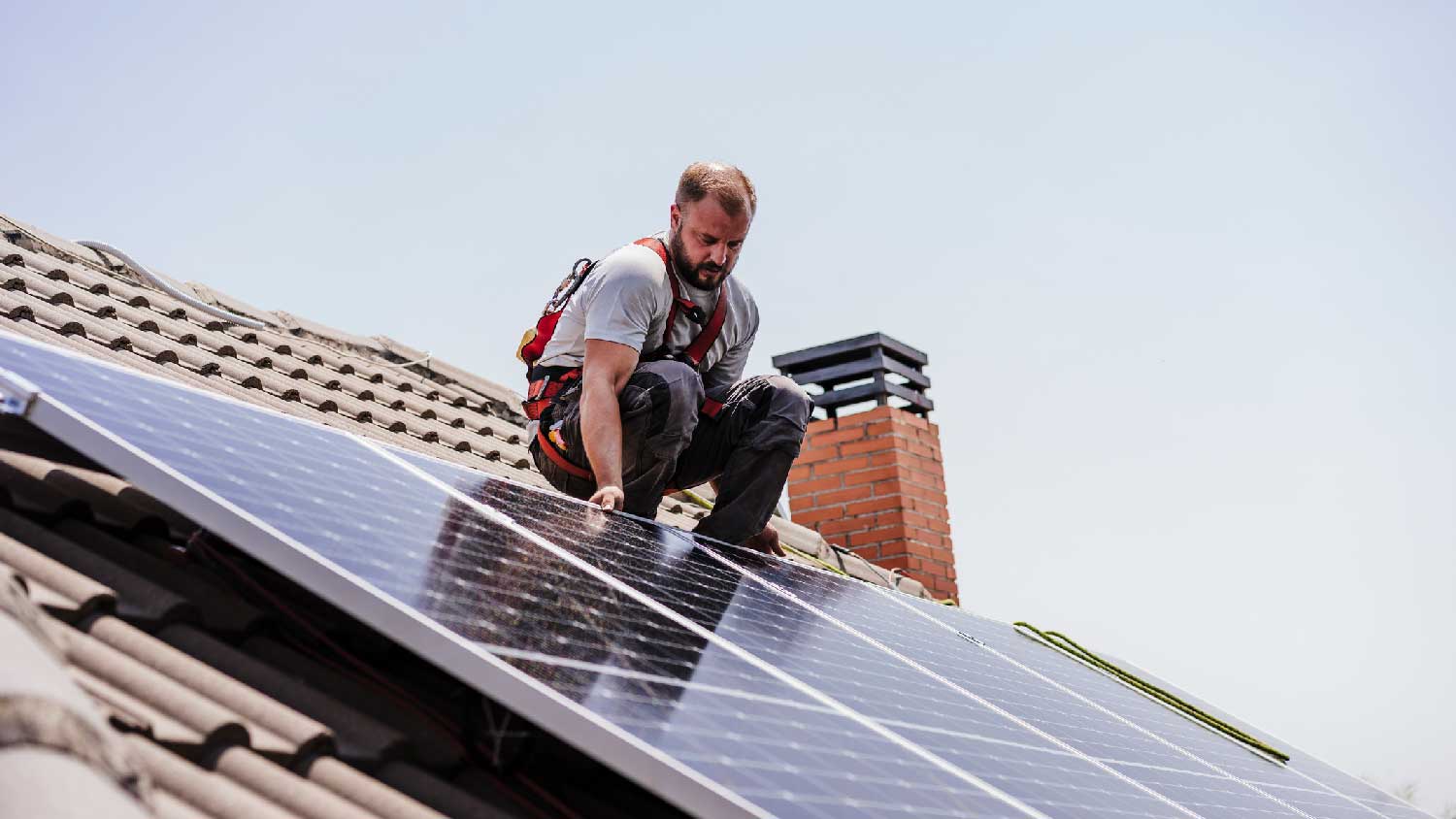 A technician inspecting solar panels