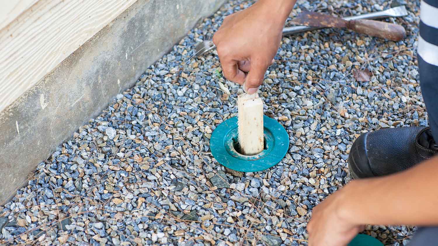 Worker installing bait system around the home