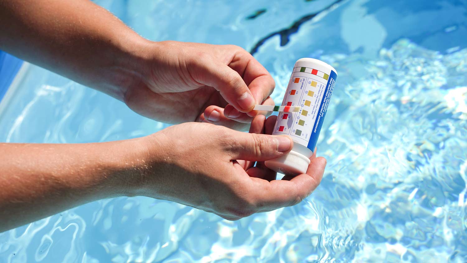A person holding a pool water testing kit.