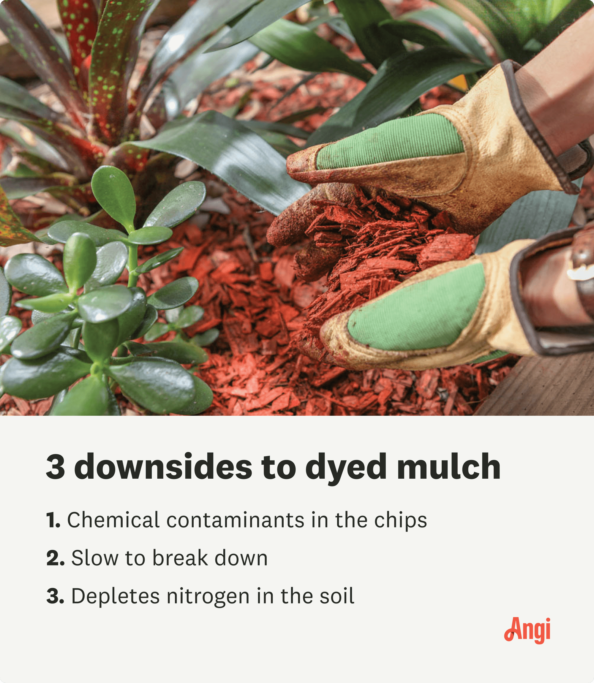 3 downsides to dyed mulch, including slow to break down