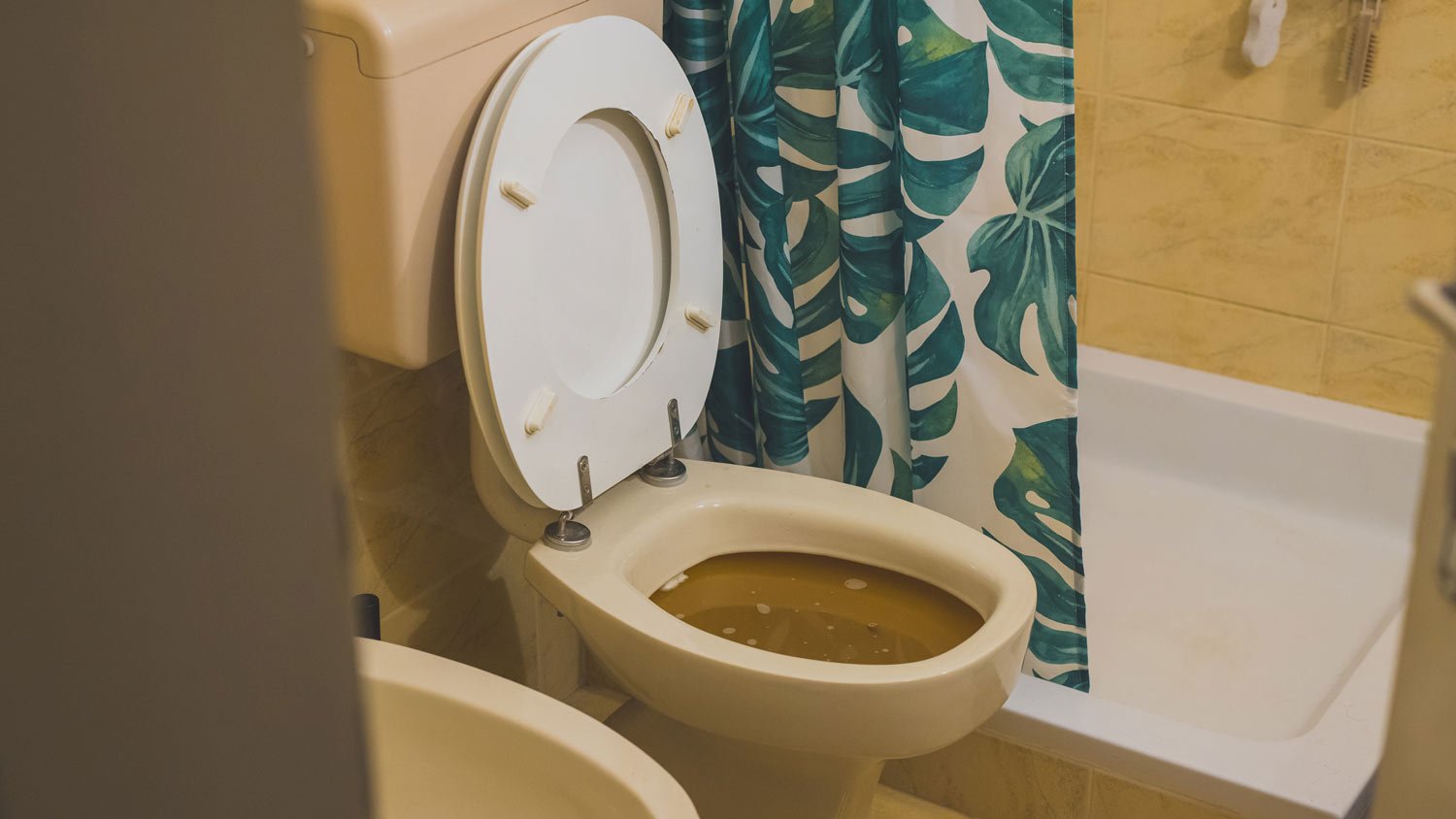An open toilet full of brown water.
