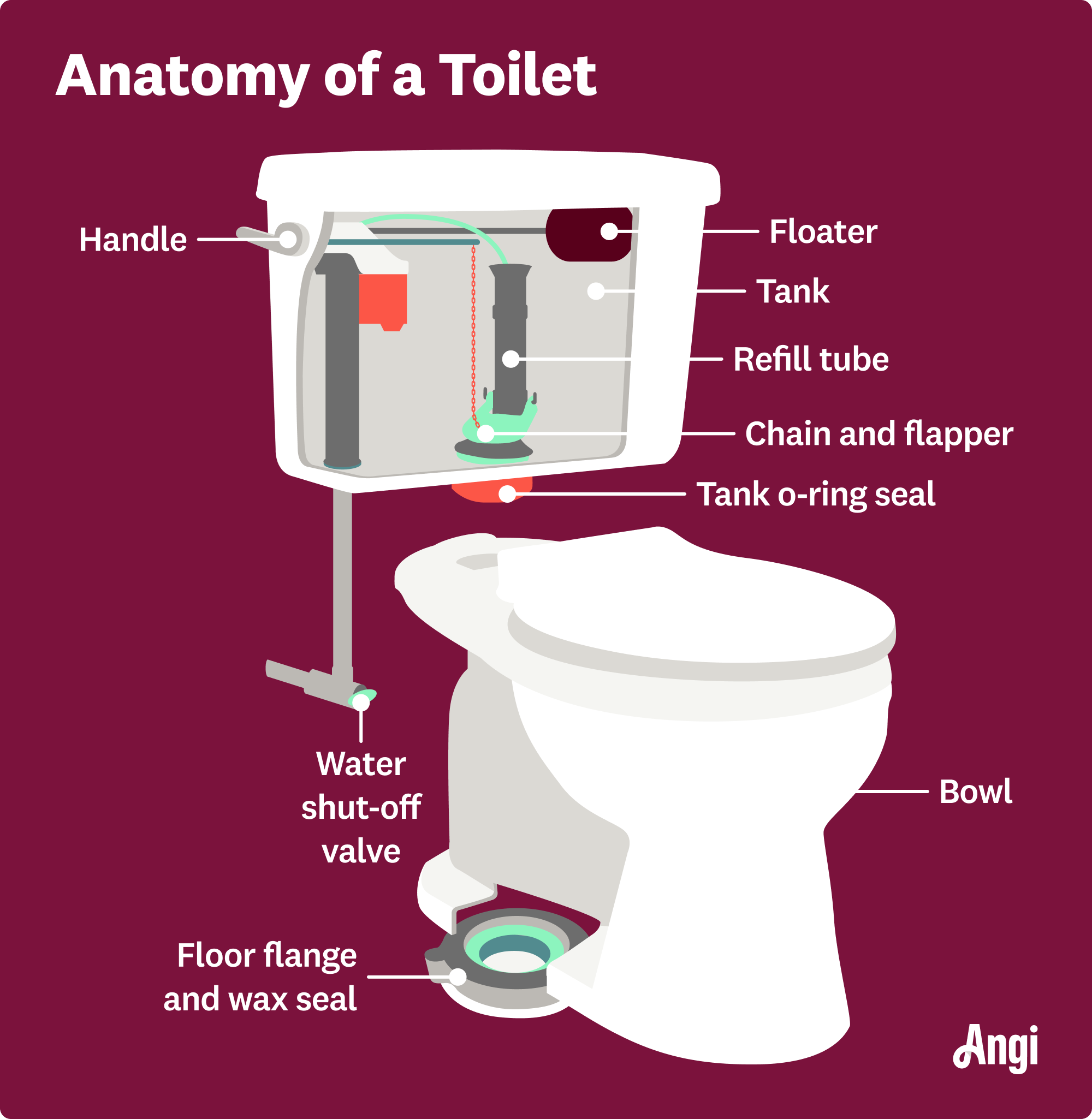 Anatomy of a toilet and the inner working parts illustrated, including the floater, tank o-ring seal, and water shut-off valve